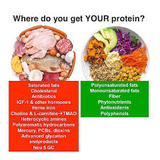 Dr Michelle Mcmacken On Instagram Where Do You Get Your Protein Instead Of Worrying About How Much Protein We Re Getting We Shoul Food Protein Going Vegan