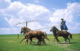 Horse Training Is A Specialty In Hortobagy Ungarn Landschaft