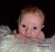 Kayci Lawson Photography