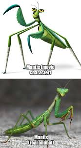 We did not find results for: In Kung Fu Panda 2008 The Character Mantis Is Actually Based On A Real Life Animal Called A Mantis Shittymoviedetails