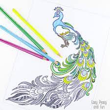 Features of this peacock coloring book: Peacock Coloring Page For Adults Easy Peasy And Fun