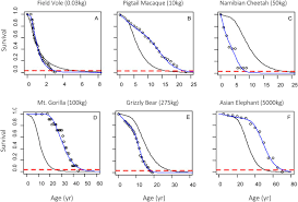 Maybe you would like to learn more about one of these? The Relationship Of Survivorship And Body Mass Modeled By Metabolic And Vitality Theories Biorxiv