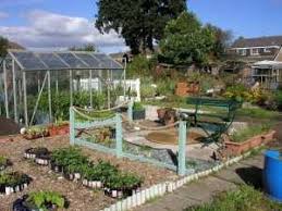 Maybe you would like to learn more about one of these? Fruit Vegetable Growing Guide For October Allotment