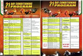 21 Day Conditioning Program Excellence Poultry Livestock