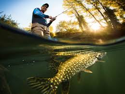 Fishing Horror Stories