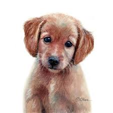 Watercolor Puppy Puppy Art Print Printable Nursery Decor Etsy Baby Animal Prints Puppy Prints Puppy Art 60,000+ vectors, stock photos & psd files.