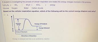 Co2 and h2o are what in photosynthesis. Answered A Student Is Investigating The Process Bartleby