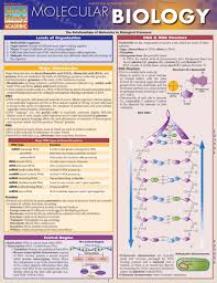 8108 53 Molecular Biology Chart