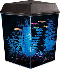 Api Aquaview Corner Aquarium Kit With Led Lighting And In Https Www Amazon Com Dp B0083s5pi8 Ref Cm Sw R Pi Dp Corner Aquarium Aquarium Kit Betta Aquarium
