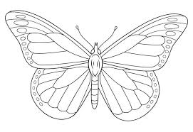 Onlinelabels clip art simple butterfly source: 17 Sketsa Kupu Kupu Terbaik Terlengkap Cara Menggambar