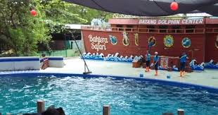 Pantai di batang yang lagi ngehits dan booming pada tahun 2017 dan memiliki pemandangan yang sangat. Pesona Pantai Sigandu Batang Dengan Dolphin Center Nya Boladiens Adventure