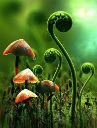 Alice Alice In Wonderland Art Cg Art Champignon Vert Macro Herbe Color Beautiful Nature Plants Stuffed Mushrooms