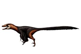 How do scientists know what the dinosaurs looked like? Achillobator Facts And Figures