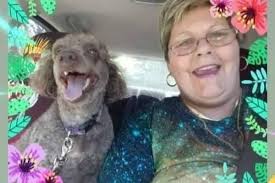 Fundraiser for Dana DeHart by Melanie Bennett : Help Dana Heal