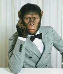 The Sexiest Ape On The Planet Planet Of The Apes Monkeys Funny Monkey Pictures
