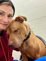 Tyson Mecham's Instagram, Twitter & Facebook