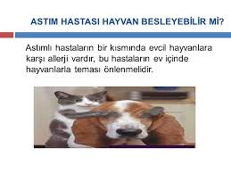 Hatay Halk Sagligi Mudurlugu Ppt Indir