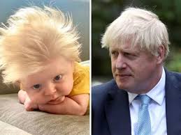 Boris johnson soll zurücktreten, fordern teile seiner eigenen partei. Child Called Mini Boris Johnson For His Blond Hair Baby Called Mini Boris Johnson For His Full Head Of Blond Hair Goes Viral Trending Viral News