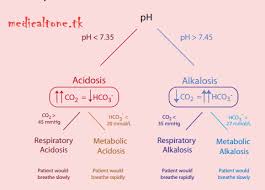 Pin By Heather On Rt Acidosis Alkalosis Metabolic