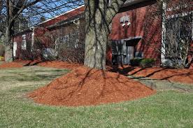 Check spelling or type a new query. Mulch Volcanoes A Common Gardener S Supply Company Facebook