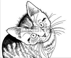 Black And White Cat Pictures To Color Realistic Drawing Of A Kitten Realistic Drawings Drawings Cat Drawing
