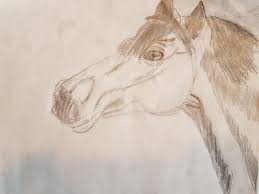 Video Diy Pferde Zeichnen Leicht Gemacht Equestrian Worldwide Pferdesport Weltweit Eqwo Net