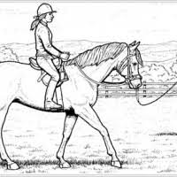 We did not find results for: Malvorlage Pferd Mit Reiter Coloring And Malvorlagan