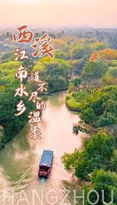 藏在杭州的隐秘“水城”，承包了你一年四季的打卡地_西溪湿地_芦花_芦苇