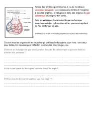 Epingle Sur Sciences