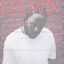 The cover illustration appears to reference the early 1960's 'op art' of a=bridget riley. Merzbow Pulse Demon Music Discogs