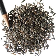 We did not find results for: Sunflower Seeds Italian White Helianthus American Meadows