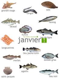 Produits De Saison Janvier Fruits Legumes Poissons Fromages My Little Recettes Legumessaisons Produits De Saison Poisson Fruits Et Legumes De Saison