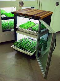 Kitchen Cultivatoropen Door Indoor Vegetable Gardening Indoor Farming Indoor Aquaponics