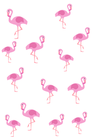 You can also upload and share your favorite flamingo albert wallpapers. Photography Flamingo Iphone Wallpapers Top Free Photography Flamingo Iphone Backgrounds Wallpaperaccess
