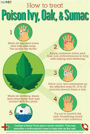 Poison Ivy Oak Or Sumac How To Treat The Rash Relieve Itching Poison Ivy Treatment Remedies For Bee Stings Poison Ivy Remedies