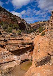 Cactus park is one of our. Triangle Canyon Cactus Park To The Gunnison River Adventr Co