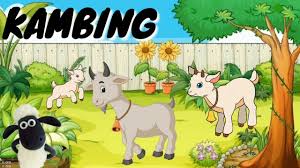 Barulah anda bisa membuat bulatan untuk bagian kepalanya. Video Animasi Suara Kambing Suara Hewan Ternak Belajar Mengenal Suara Hewan Suara Hewan Lucu Youtube