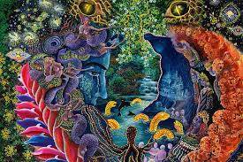 Ayahuasca is a psychoactive tea that originates from the amazon region. The Colonization Of The Ayahuasca Experience Jstor Daily