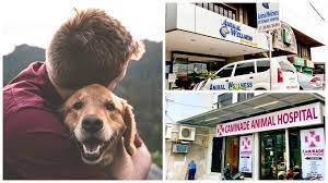 Places chicago, illinois medical and healthmedical centre vca city pet animal hospital. 8 Trusted Veterinary Clinics In Metro Cebu Sugbo Ph