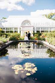 Toledo Zoo Wedding Laura Al Zoo Wedding Aquarium Wedding Toledo