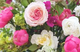 32217, 32223, 32216, 32258, 32207, 32259, 32202, 32257, 32256, 32092, Top Florists In Jacksonville