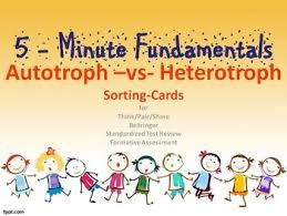 Autotroph Vs Heterotroph Sorting Cards 5 Minute Fundamentals Sorting Cards Life Science Letter To Teacher