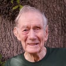 Hug 100 Trees To Save The Rainforests