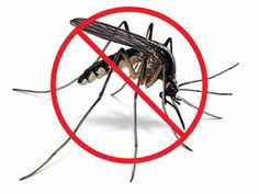 After you find out all do it yourself pest control discount codes results you wish, you will have many options to find the best saving by clicking to the button get link coupon or more offers of the store on the right to see. 93 Florida Environmental Pest Management Ideas In 2021 Pest Management Pests Pest Control