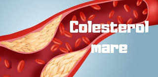 Tratamentul medicamentos impotriva colesterolului marit se adreseaza doar anumitor pacienti si este recomandat numai de catre medic. Cum Combatem Colesterolul Marit