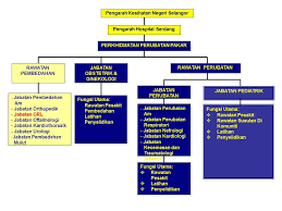 Check spelling or type a new query. Carta Organisasi Hospital Serdang