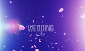 Create even more, even faster with storyblocks. 19 Top Wedding Video Templates For After Effects Motion Graphics