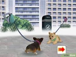 Nintendo has released dozens of amiibos that unlock secret items in botw. How To Earn Money And Trainer Points In Nintendogs 13 Steps