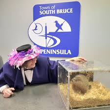 Groundhog Day 2023 Results: See Them Here