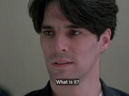 Love And Human Remains David McMillian